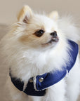 Soho Poms Blue & Ivory Teddy Bear Waterproof Dog Jacket