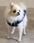 Soho Poms Blue & Ivory Teddy Bear Waterproof Dog Jacket