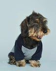 Blinky Jumper