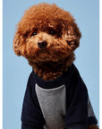 Blinky Jumper