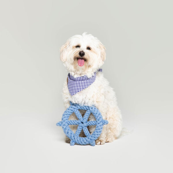Captain's Wheel Cotton Rope Dog Toy