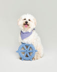 Captain's Wheel Cotton Rope Dog Toy