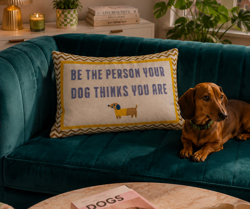 Dachshund on a teal velvet sofa beside a slogan cushion from independent brands at Brix + Bailey