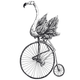 Vintage engraving illustration of a swan on a penny farthing, illustrating ethical brands at Brix + Bailey