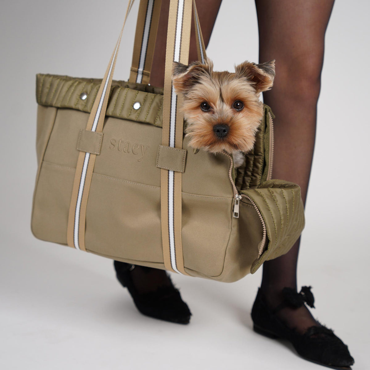 Pet brands at Brix + Bailey