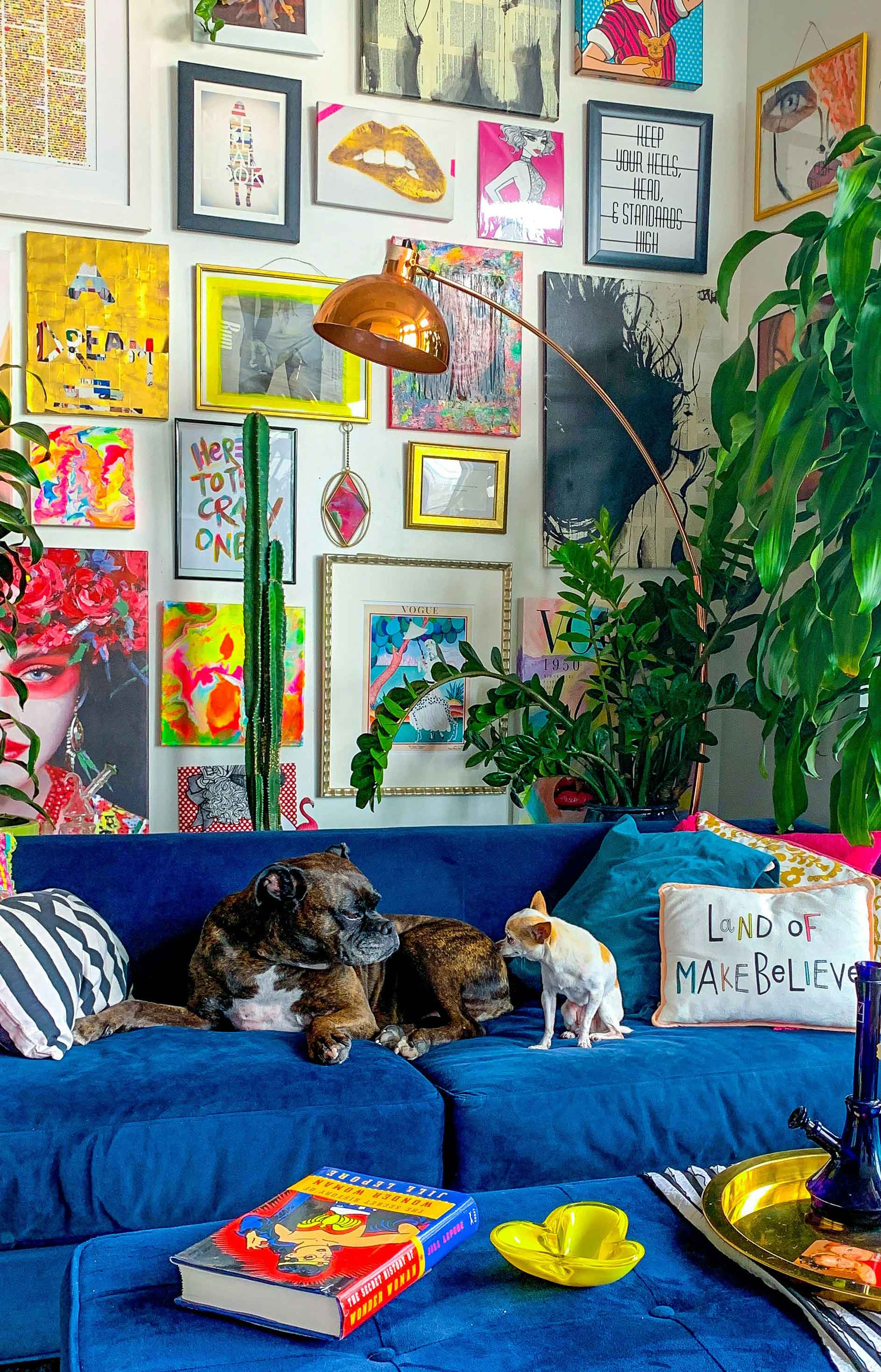 Shop pet products from independent brands at Brix + Bailey