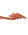 Brown Leather Dog Lead