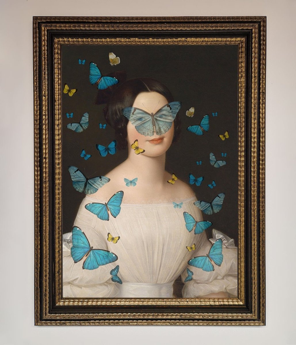 Butterfly Renaissance Framed Print