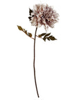 Pack of 6 x 55cm Dahlia Flower Stem - Dusty Pink-2