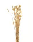 Fluffy Bunny Tail Bouquet Tall Natural Decor
