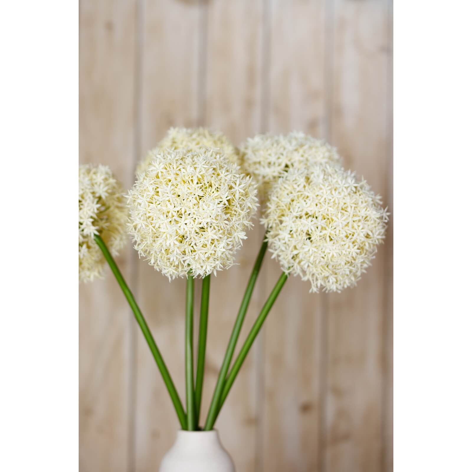 Cream Giant Allium Stem Faux Flower Arrangement