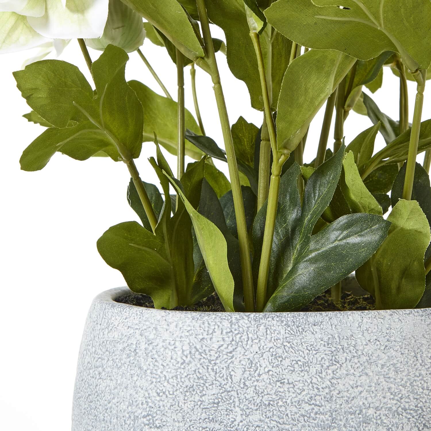 Faux White Hellebore in Ceramic Pot