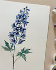Larkspur - July Birth Flower - Watercolour Fine Art Print