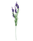Pack of 6 x Artificial Flowers Purple Larkspur Artifical Stem 80cm-4