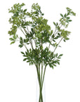 Artificial cow parsley stem with white blooms and green foliage, 100cm tall, realistic wildflower decor for floral arrangements by sostter at brixbailey.com