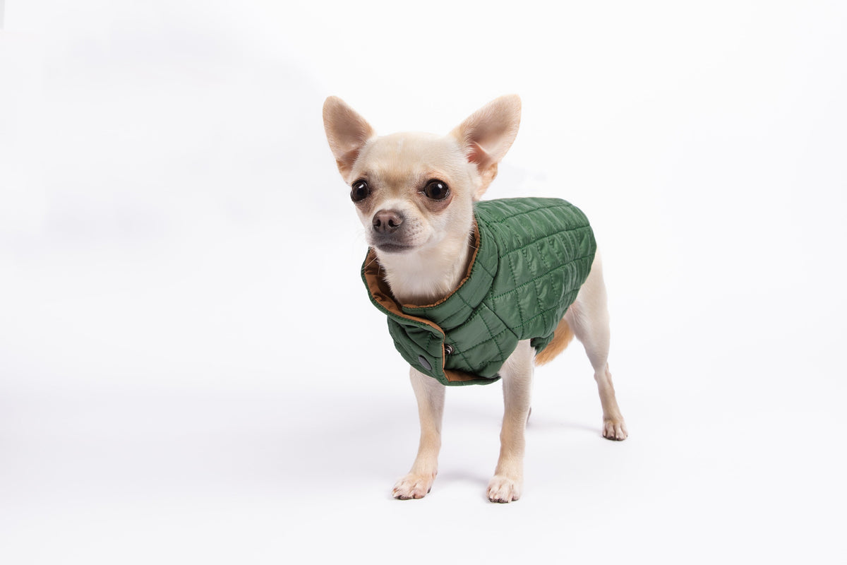 You are not alone  Sleeveless Puffer Jacket