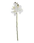 White Butterfly Orchid Stem Decor