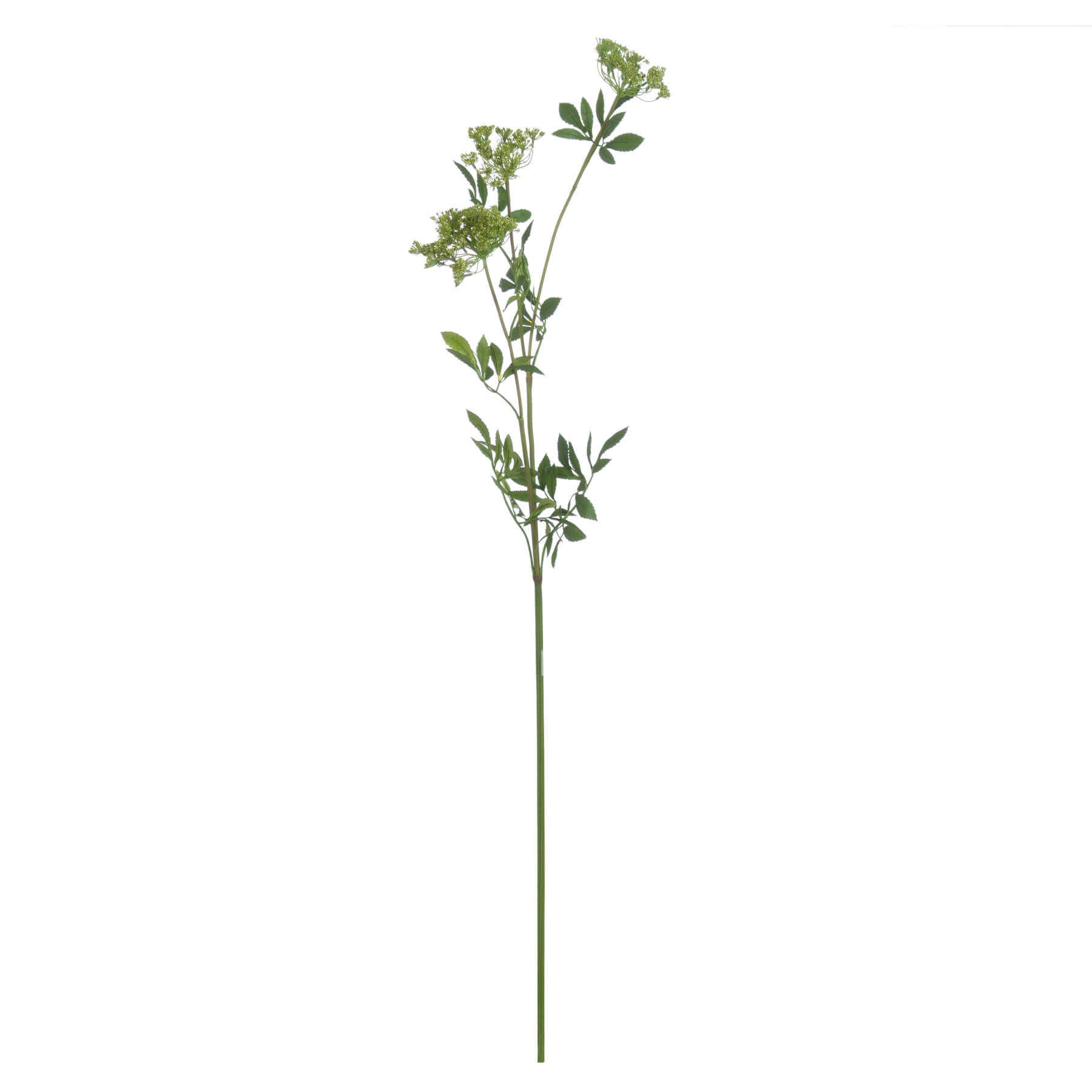 Elegant Faux Cow Parsley Ammi | Realistic Floral Decor