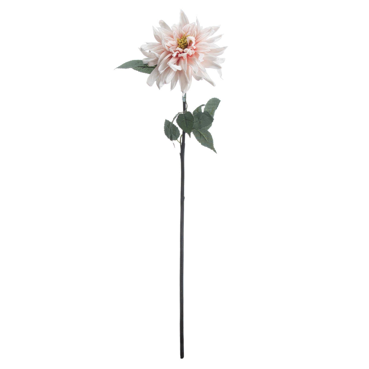 Blush Pink Dahlia Stem