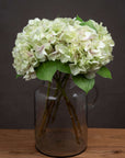 Lifelike artificial hydrangea stem in soft green, 50 cm tall, with realistic plastic petals for elegant home decor by RoomLondon at brixbailey.com
