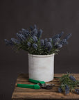 Lifelike faux lavender stems with purple blooms and green accents, perfect for year-round home decor  by sostter at brixbailey.com