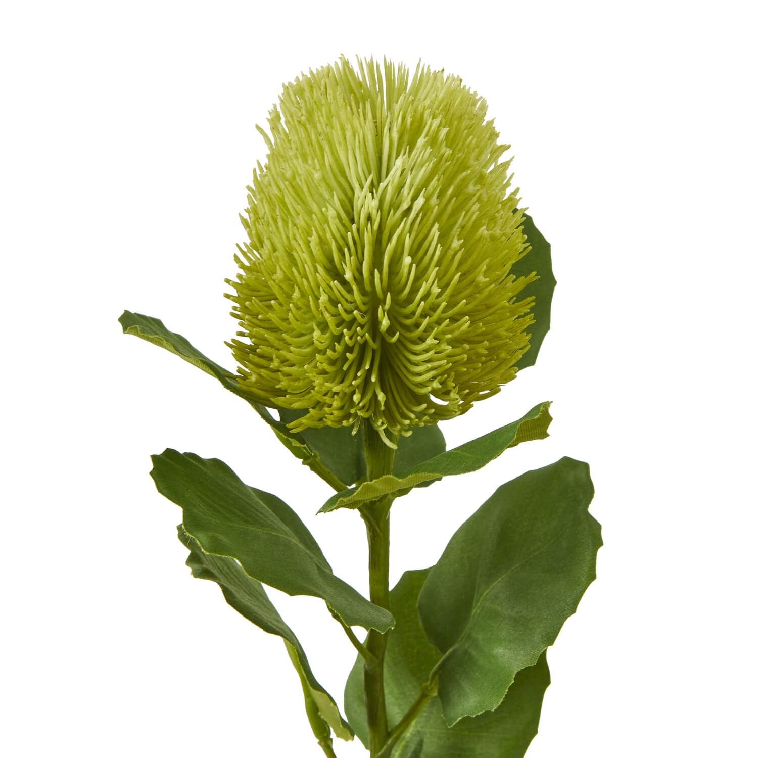 Green Faux Banksia Flower Stem
