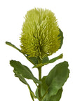 Green Faux Banksia Flower Stem