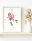 Rose - June Birth Flower - Watercolour Fine Art Print