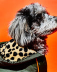 Olive & Animal Print Trim Puffer Jacket