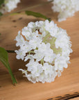 Lifelike white faux snowball blossom stem, 75cm tall with realistic petals and flexible branches for home decor. by sostter at brixbailey.com