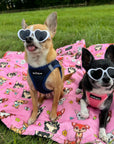Tiny Trails Step In Air Mesh Puppy and Small Dog Harness Navy