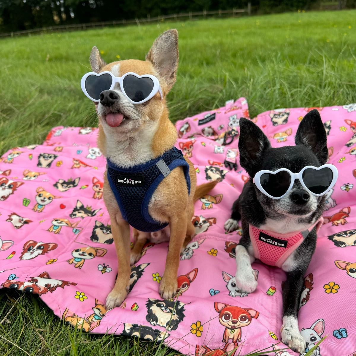 Tiny Trails Step In Air Mesh Puppy and Small Dog Harness Pink