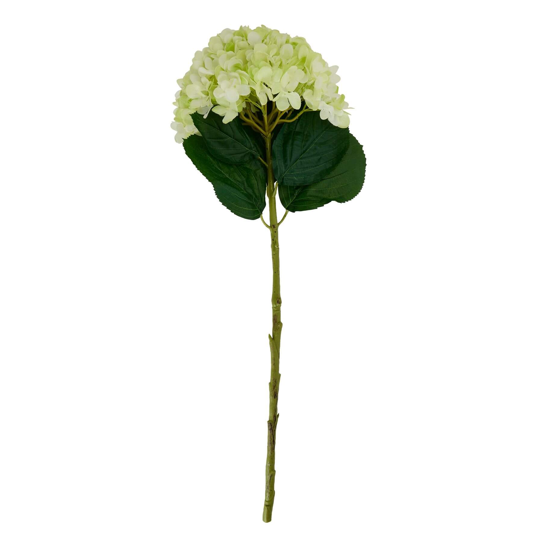 Oversized Green Hydrangea Stem Decoration
