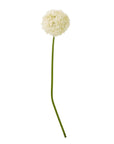 Cream Giant Allium Stem Faux Flower Arrangement