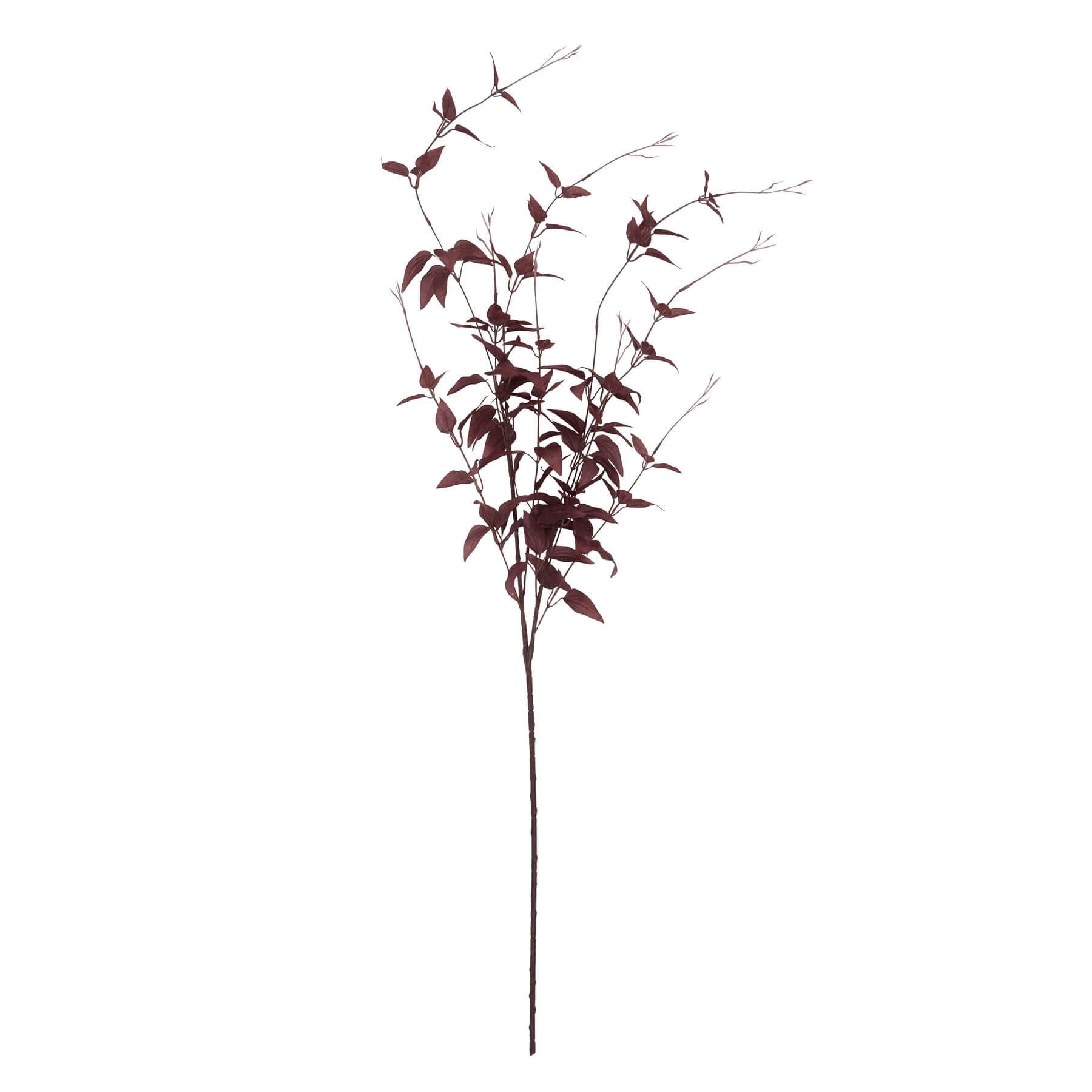Burgundy plastic botanical stem with wispy tendrils, 88cm tall, for elegant floral arrangements by sostter at brixbailey.com