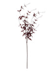 Burgundy plastic botanical stem with wispy tendrils, 88cm tall, for elegant floral arrangements by sostter at brixbailey.com