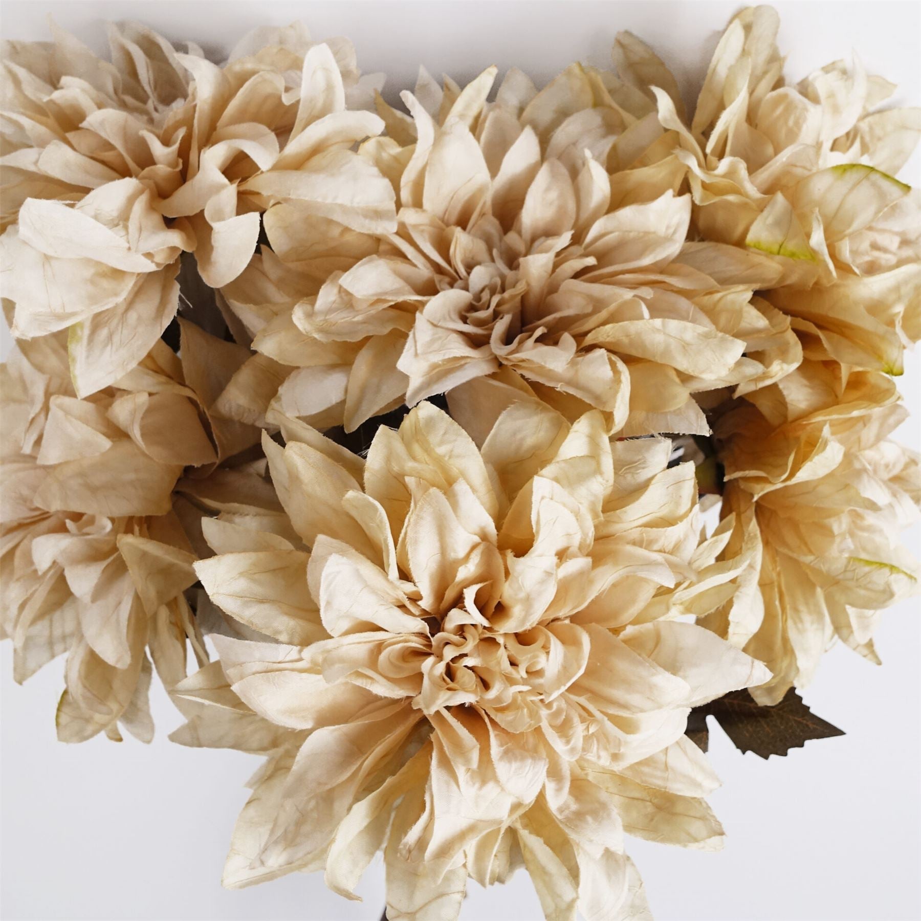 Pack of 6 x 55cm Dahlia Flower Stem - Dusty Cream-4