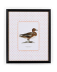 Duck I Framed Print - The Most Dashing Duck You'll Ever Hang on a Wall