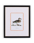Duck II Framed Print - Utterly Adorable Wall Art