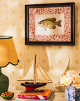 Fish IV Framed Print British, and Just a Bit Brilliant