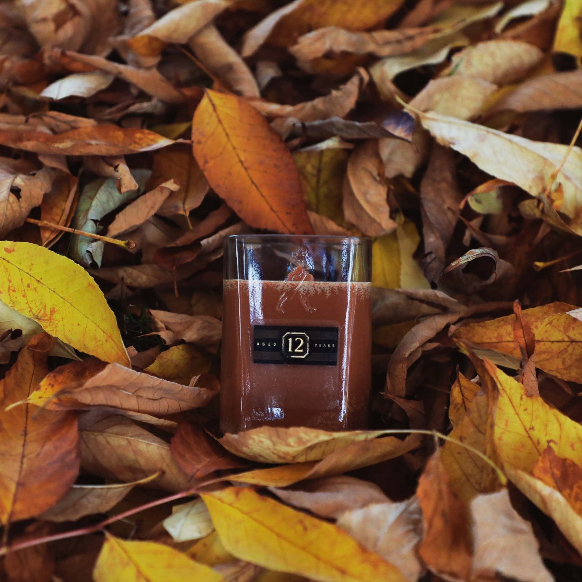 Vanilla &amp; Tobacco Scented Soy Candle-4