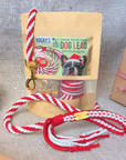 Make Your Own Dog Lead Craft Kit - Candy Cane Sparkle