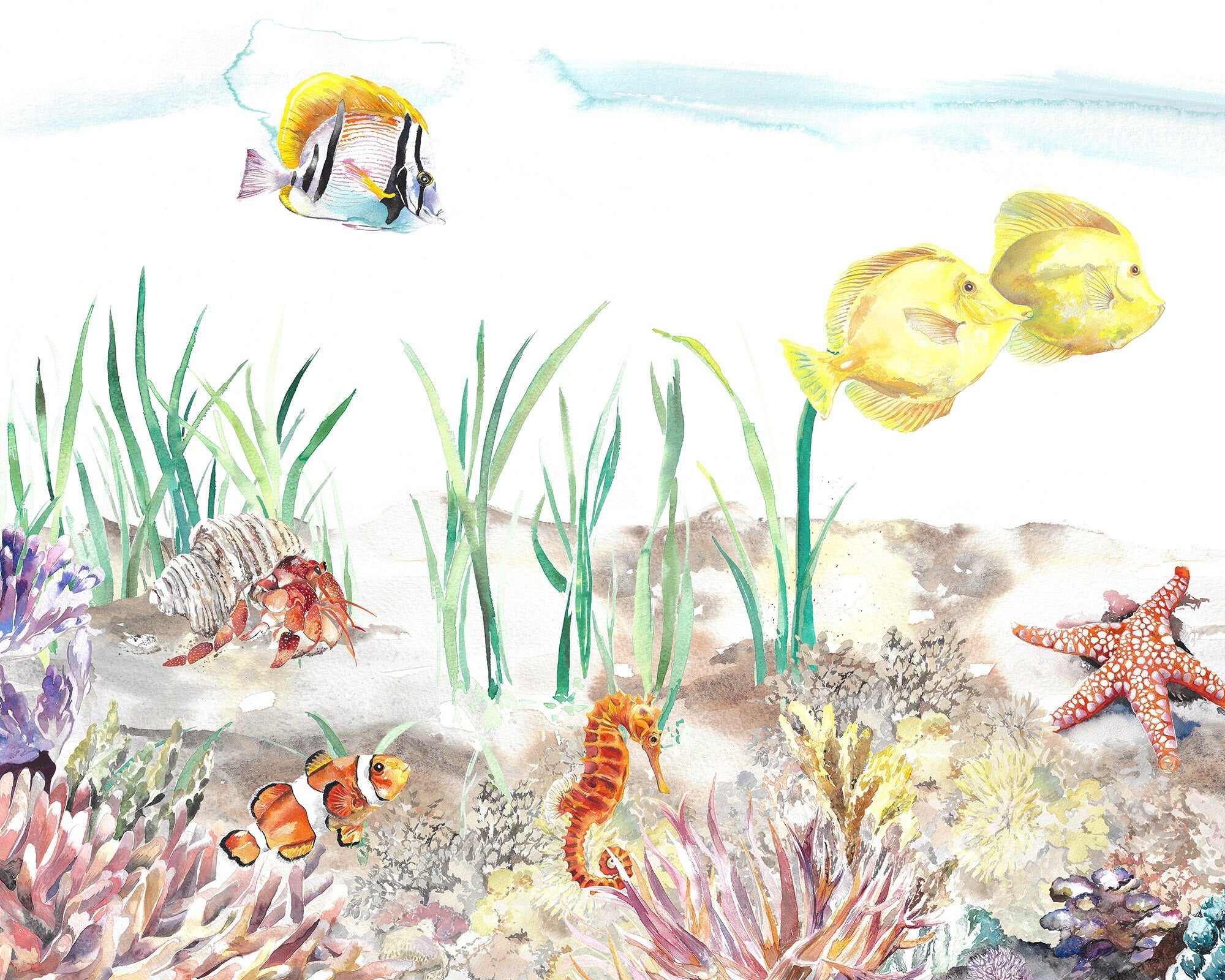 Coral Reef Underwater Mural Wallpaper