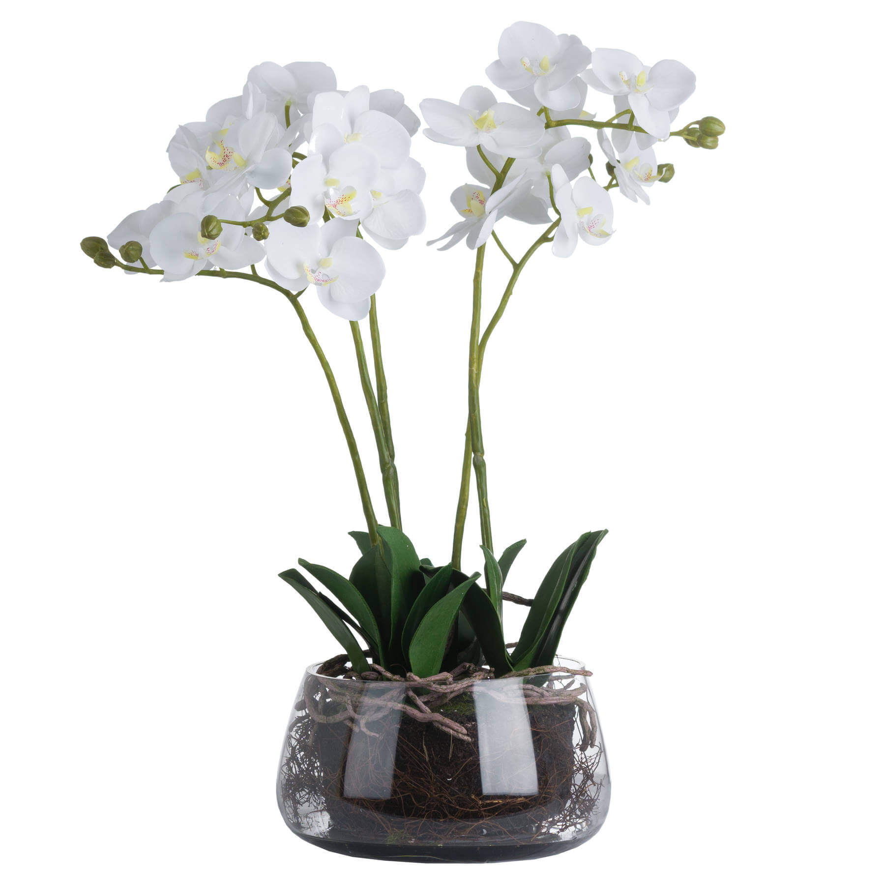 White artificial orchid in glass pot, lifelike blooms, elegant home decor centerpiece by Sostter at brixbailey.com