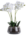 White artificial orchid in glass pot, lifelike blooms, elegant home decor centerpiece by Sostter at brixbailey.com