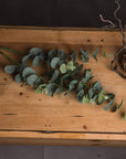 Eucalyptus Green Artificial Stem