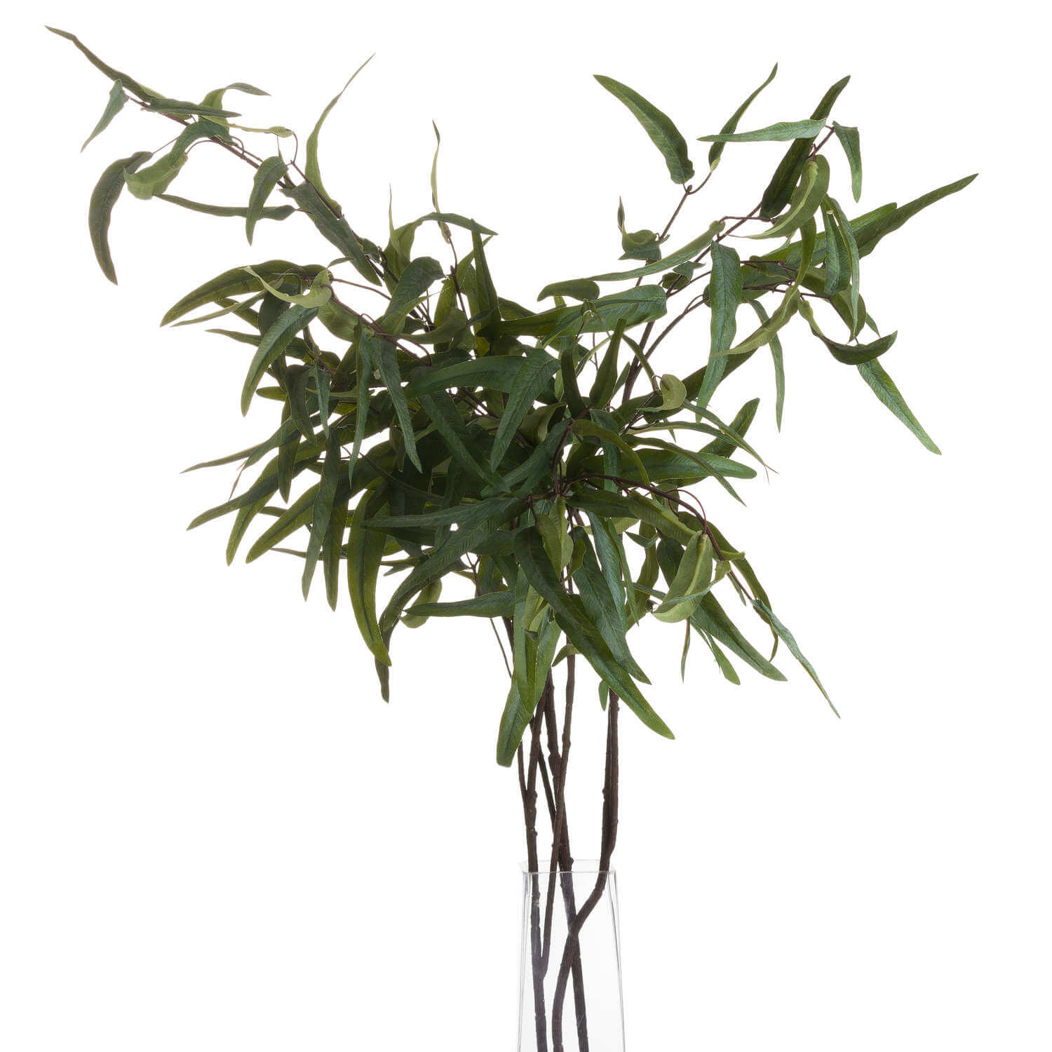 Soothing Eucalyptus Mist for Home Decor