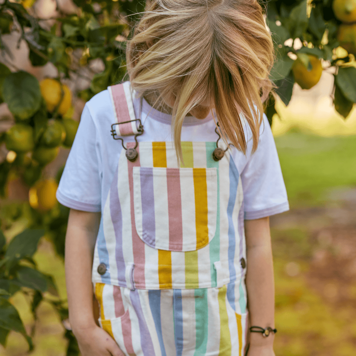 Classic Wide Stripe Shorts - Multicolour