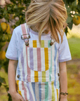 Classic Wide Stripe Shorts - Multicolour