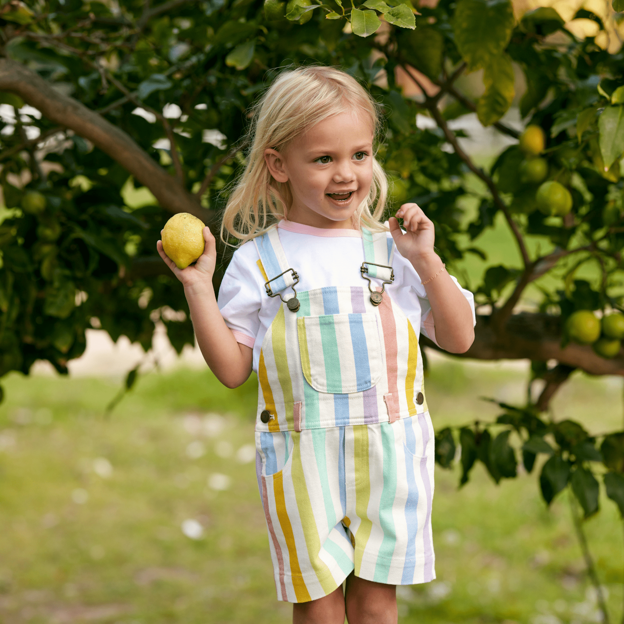 Classic Wide Stripe Shorts - Multicolour